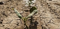 Convention to Combat Desertification in Central Asia: opportunities for cooperation