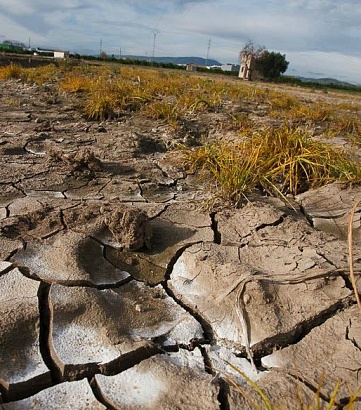Economics of Land Degradation in Asia Inception Workshop