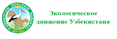 logo1.png